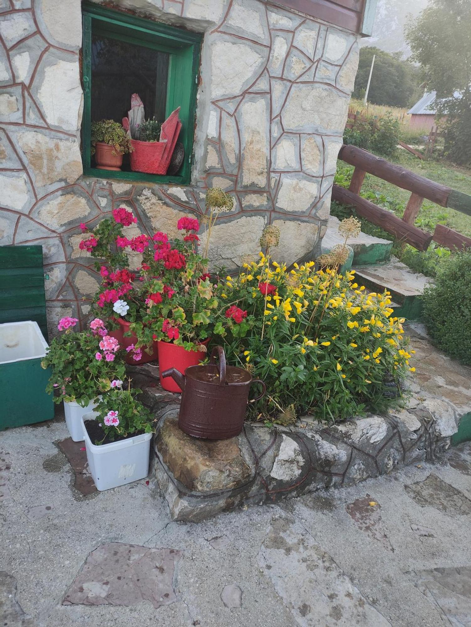 Villa Durmitorska Koliba Sa Kupatilom à Žabljak Chambre photo