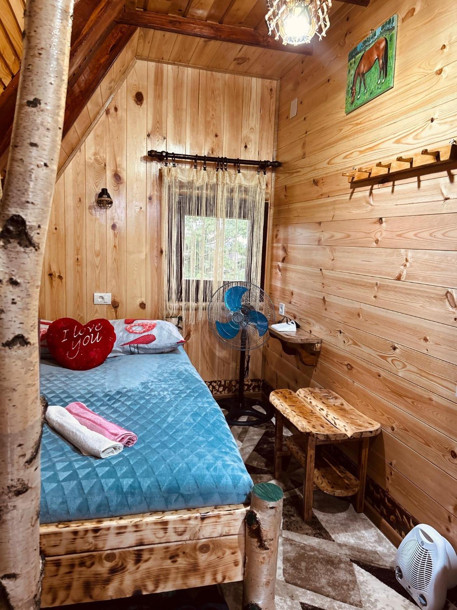 Villa Durmitorska Koliba Sa Kupatilom à Žabljak Extérieur photo